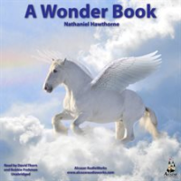 A_Wonder_Book_for_Girls_and_Boys